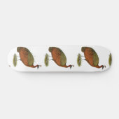 Skateboard Paon : Congo Peahen (Horz)