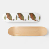 Skateboard Paon : Congo Peahen (Horz)