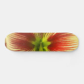 Skateboard Papillon Amaryllis (Horz)
