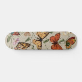 Skateboard Papillon Moth Nature Dessin aquarelle antique (Horz)