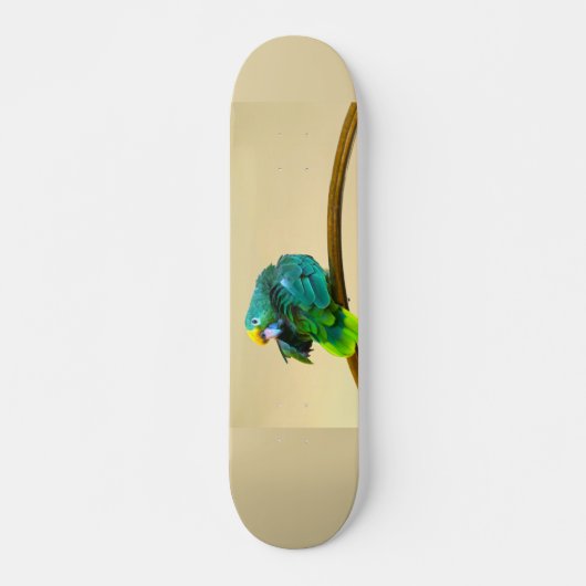 Skateboard Parrot Deck (Devant)