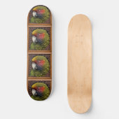 Skateboard Parrot vert australien Lorikeet (Recto)