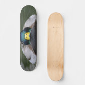 Skateboard patin du canard 2 (Recto)