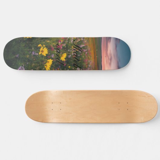 Skateboard Patinage (Horz)