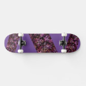 Skateboard Patinage (Horz)