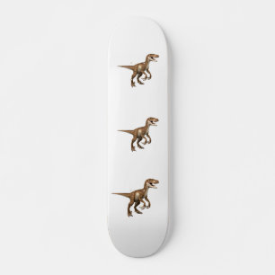 Skateboard Patinage