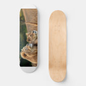 Skateboard Patinage (Recto)
