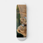 Skateboard Patinage (Recto)