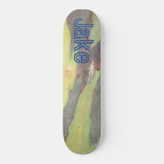 Skateboard Patinage (Recto)