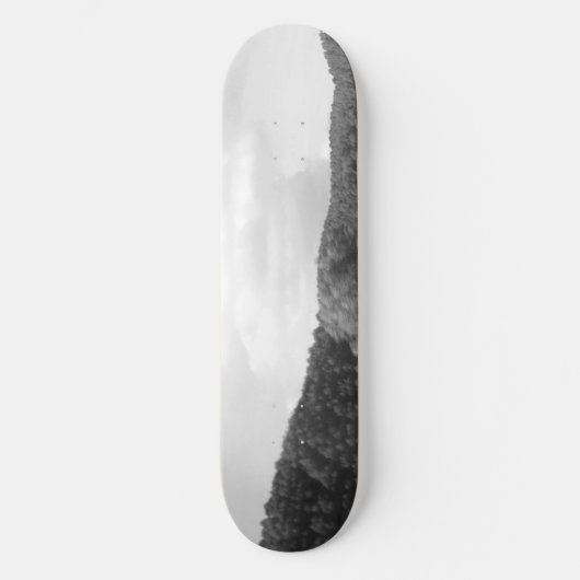 Skateboard Patinage (Recto)