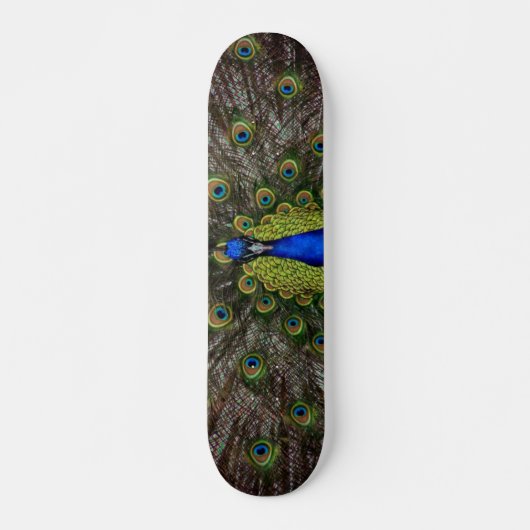 Skateboard Patinage (Devant)