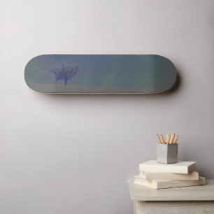 Skateboard Patinage