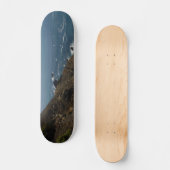 Skateboard Patinage (Recto)