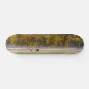 Skateboard Patinage Couple Elk