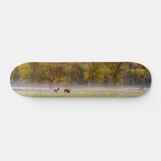 Skateboard Patinage Couple Elk (Horz)