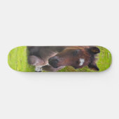 Skateboard Patinage de planche à roulettes Cute Yearling Foot (Horz)