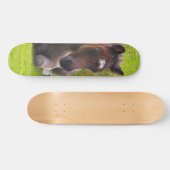 Skateboard Patinage de planche à roulettes Cute Yearling Foot (Horz)