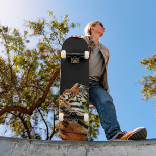 Skateboard Patinage de tigres