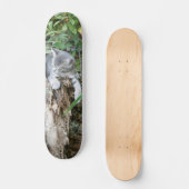 Skateboard Patinage en chaton (Recto)