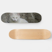 Skateboard Patinage en chats blancs (Horz)