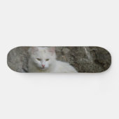 Skateboard Patinage en chats blancs (Horz)