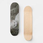 Skateboard Patinage en chats blancs (Recto)