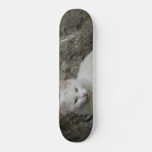 Skateboard Patinage en chats blancs
