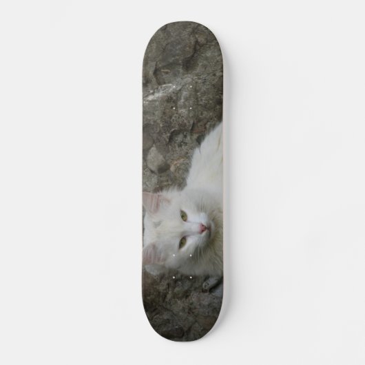Skateboard Patinage en chats blancs (Recto)