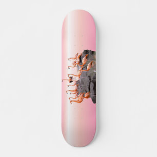 Skateboard Patinage en Flamant rose rose