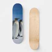 Skateboard Patinage en pingouin (Recto)