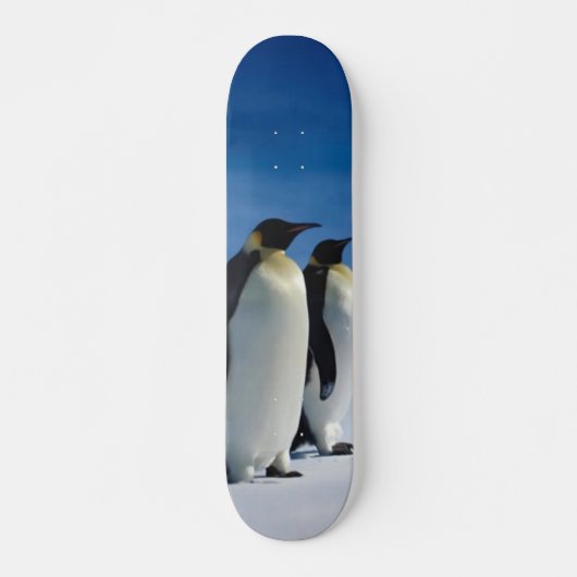 Skateboard Patinage en pingouin (Devant)