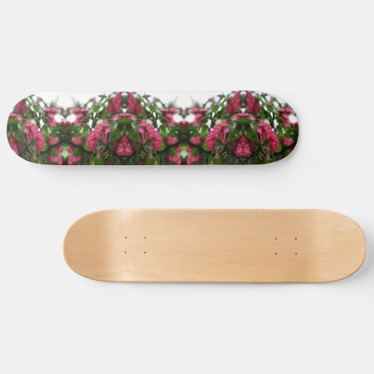 Skateboard Patinage fractionné (Horz)