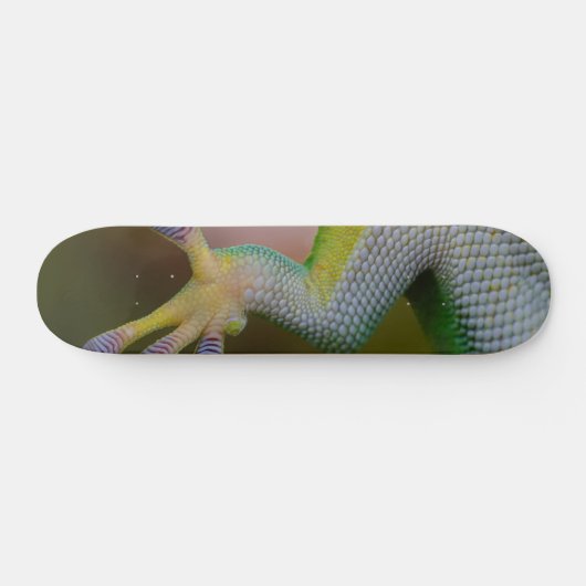 Skateboard Patinage Gecko pour garçon (Horz)