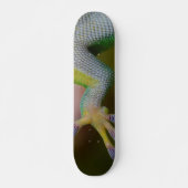 Skateboard Patinage Gecko pour garçon (Devant)