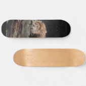 Skateboard Patinage Lion (Horz)