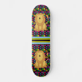 Skateboard Patinage Lion (Recto)