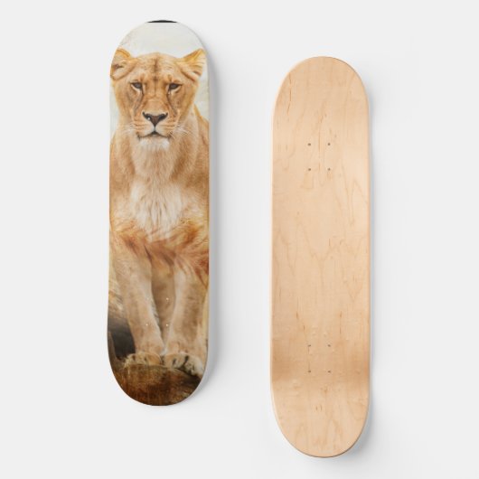 Skateboard Patinage Lion (Recto)