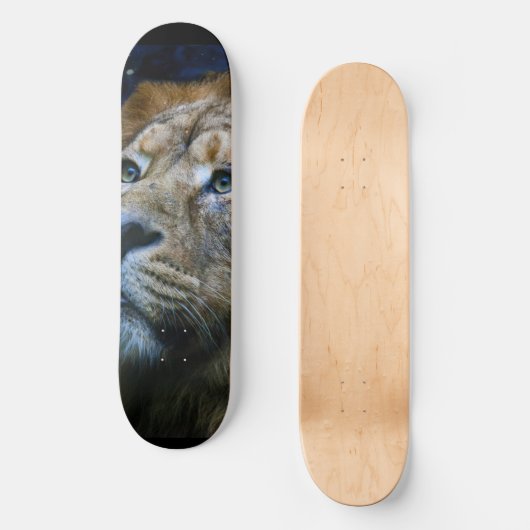 Skateboard Patinage Lion (Recto)