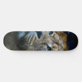 Skateboard Patinage Lion (Horz)