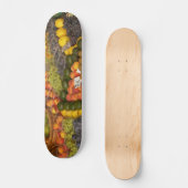 Skateboard Patinage mixte de fruits (Recto)
