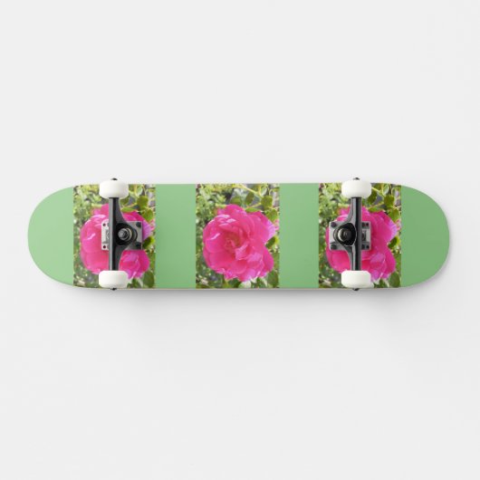 Skateboard Patinage rose (Horz)