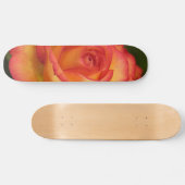 Skateboard Patinage Rose orange (Horz)