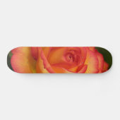 Skateboard Patinage Rose orange (Horz)