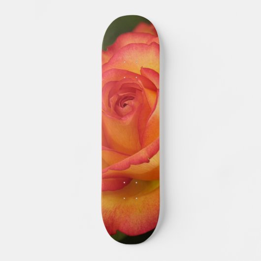 Skateboard Patinage Rose orange (Recto)