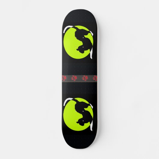 Skateboard Patinage Silhouette (Recto)