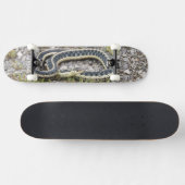 Skateboard Patinage Snake 7¾" (Horz)