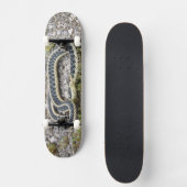 Skateboard Patinage Snake 7¾" (Recto)