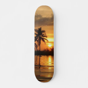 Skateboard Patinage Sunset