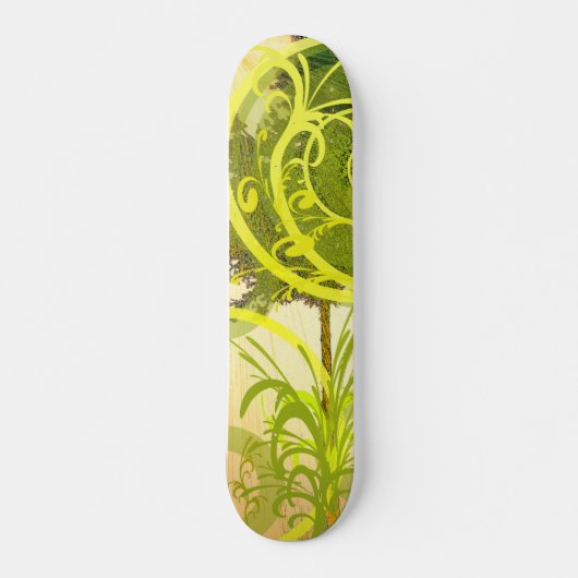 Skateboard Patinage vert (Devant)