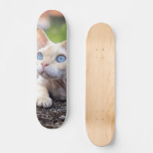 Skateboard Patineta Gato Ojos Azules Devon Rex (Recto)